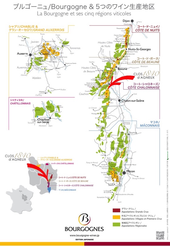 ブルゴーニュ地域のぶどう畑地図